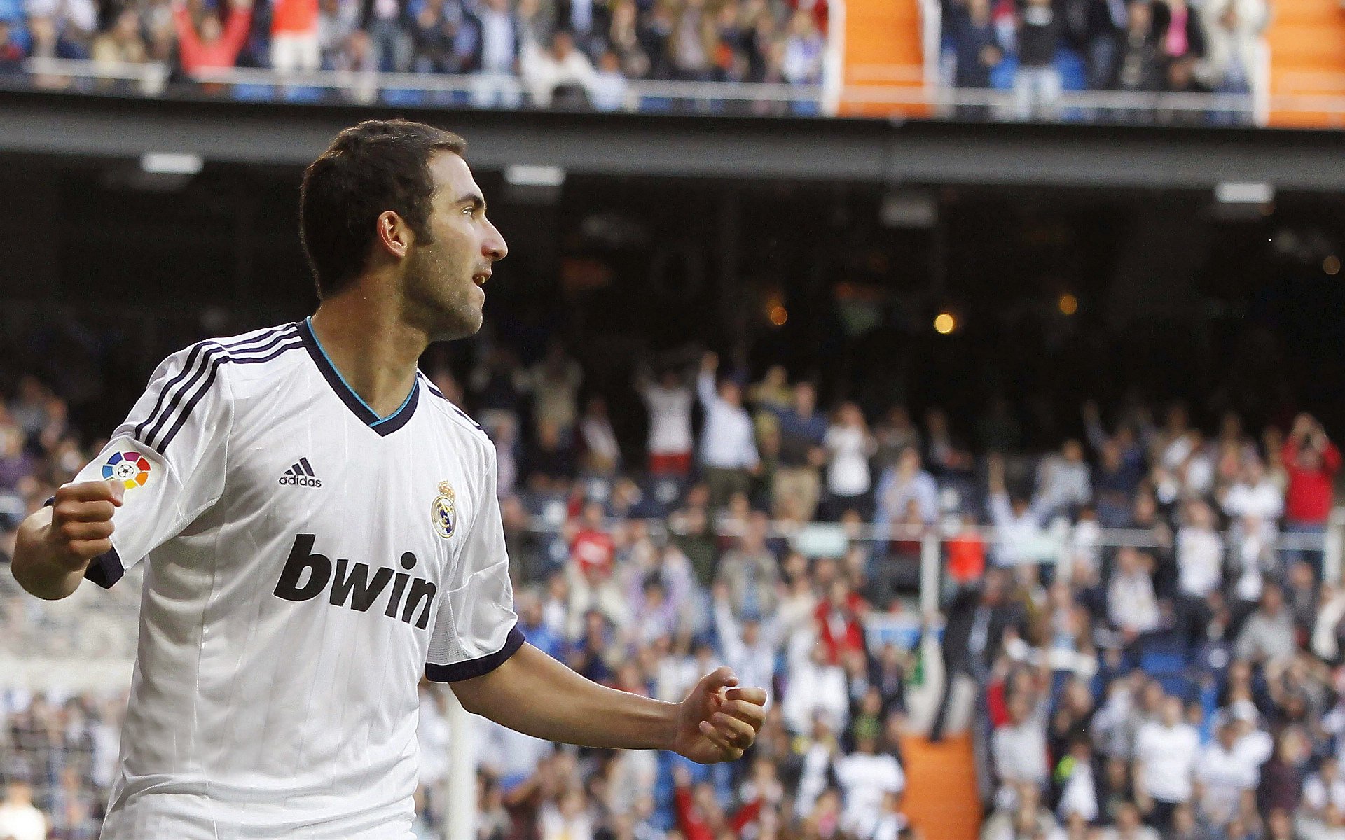 _极地极限跑：在白雪皑皑中奔跑_，极地雪地车