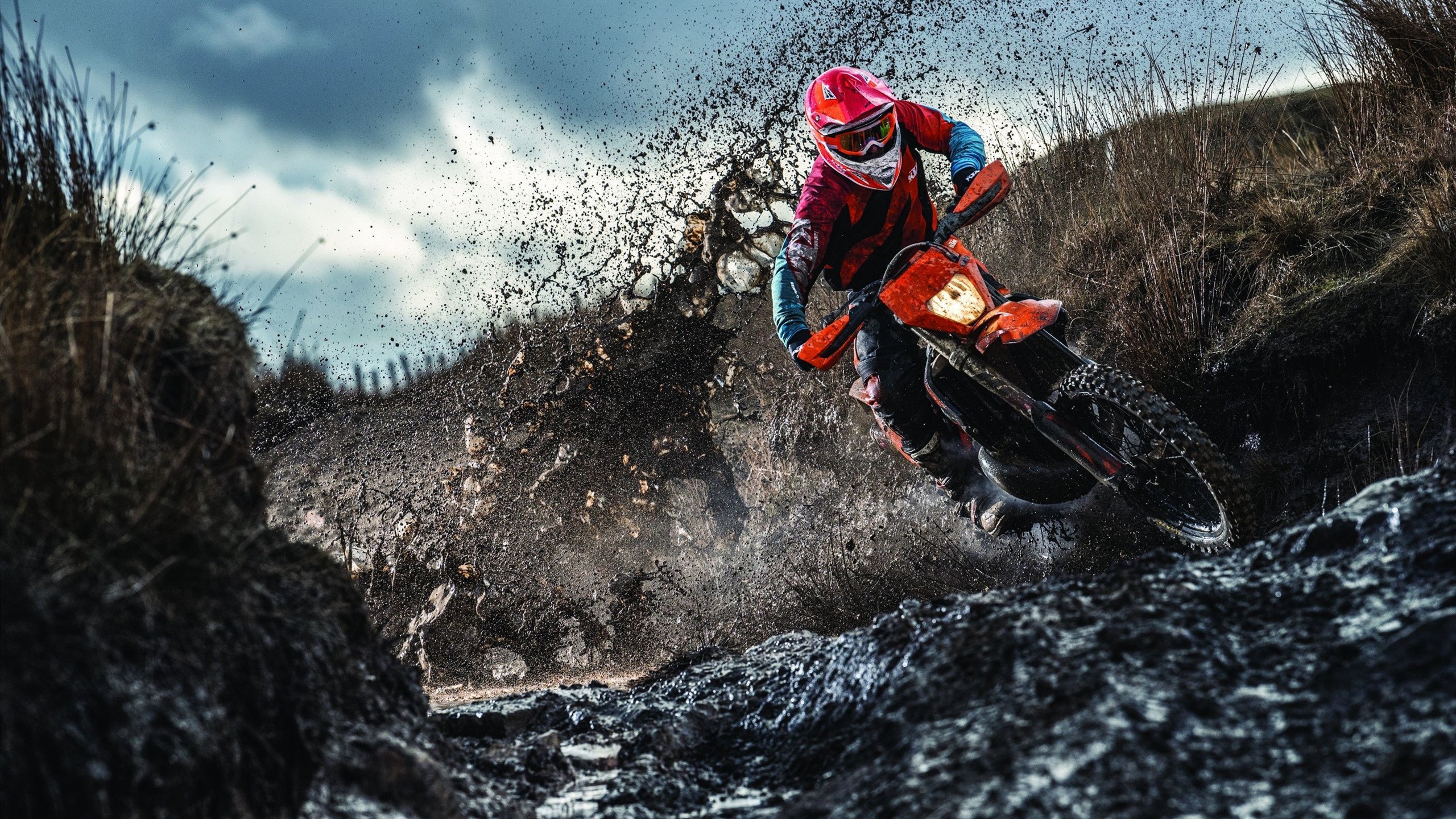 球队内部揭秘:冠军队伍的“成功方程式”,球队夺冠